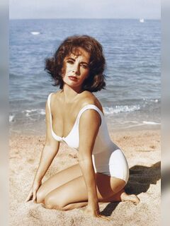 Elizabeth Taylor's photos in a bikini